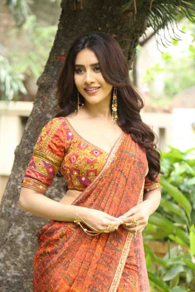 Nabha-Natesh2 (1)